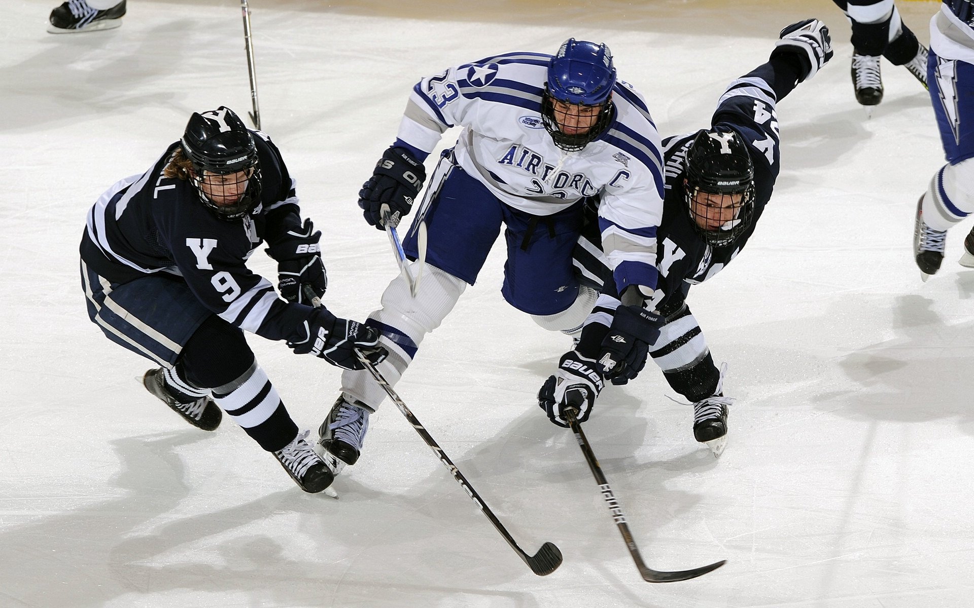 _青少年运动趣味嘉年华：培养运动习惯的趣味盛事_，青少年趣味运动会新闻稿